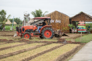 cồn ông