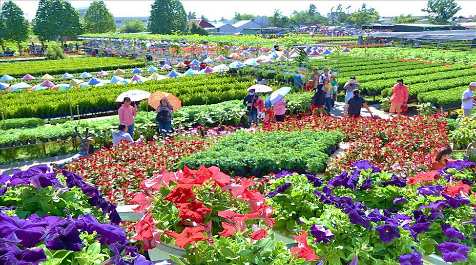 Festival Hoa Sa Đéc