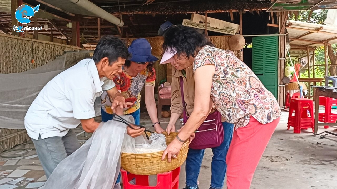 Cồn Sơn