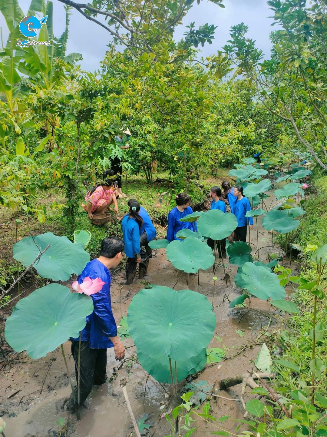 Cồn Sơn