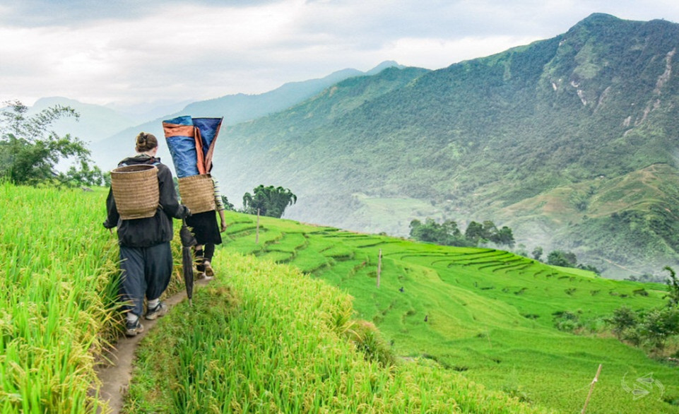 Cảnh đẹp Sapa