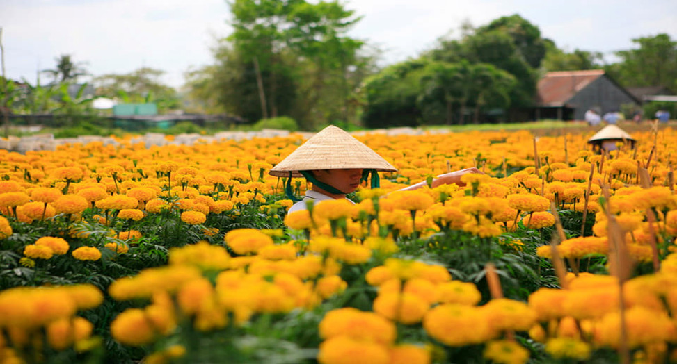 Làng hoa Sa Đéc 