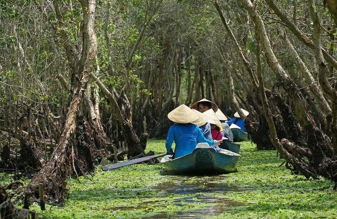 RỪNG TRÀM TRÀ SƯ