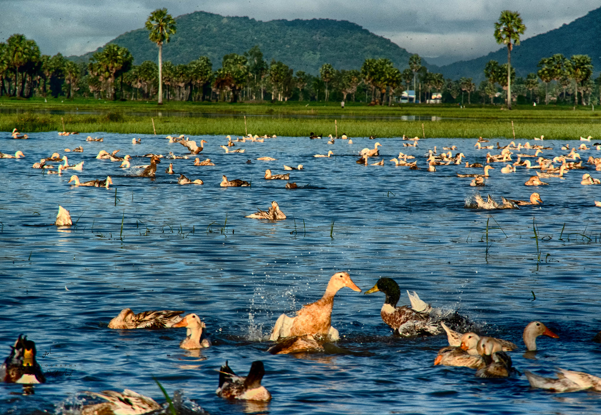 Mùa nước nổi