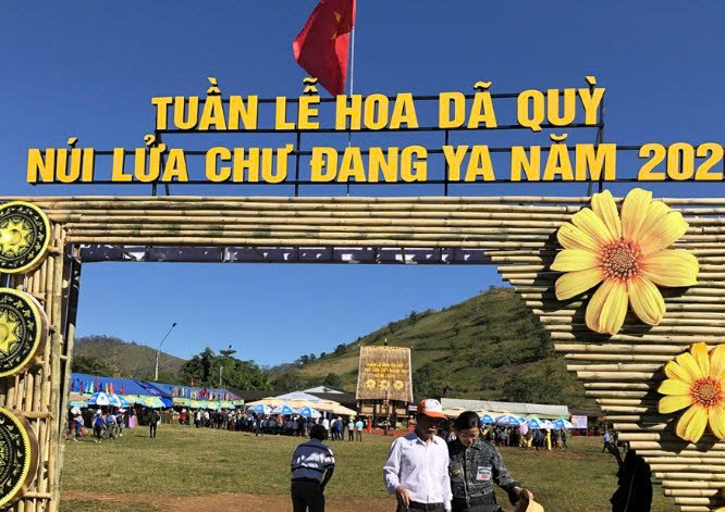 Hoa Dã Quỳ 