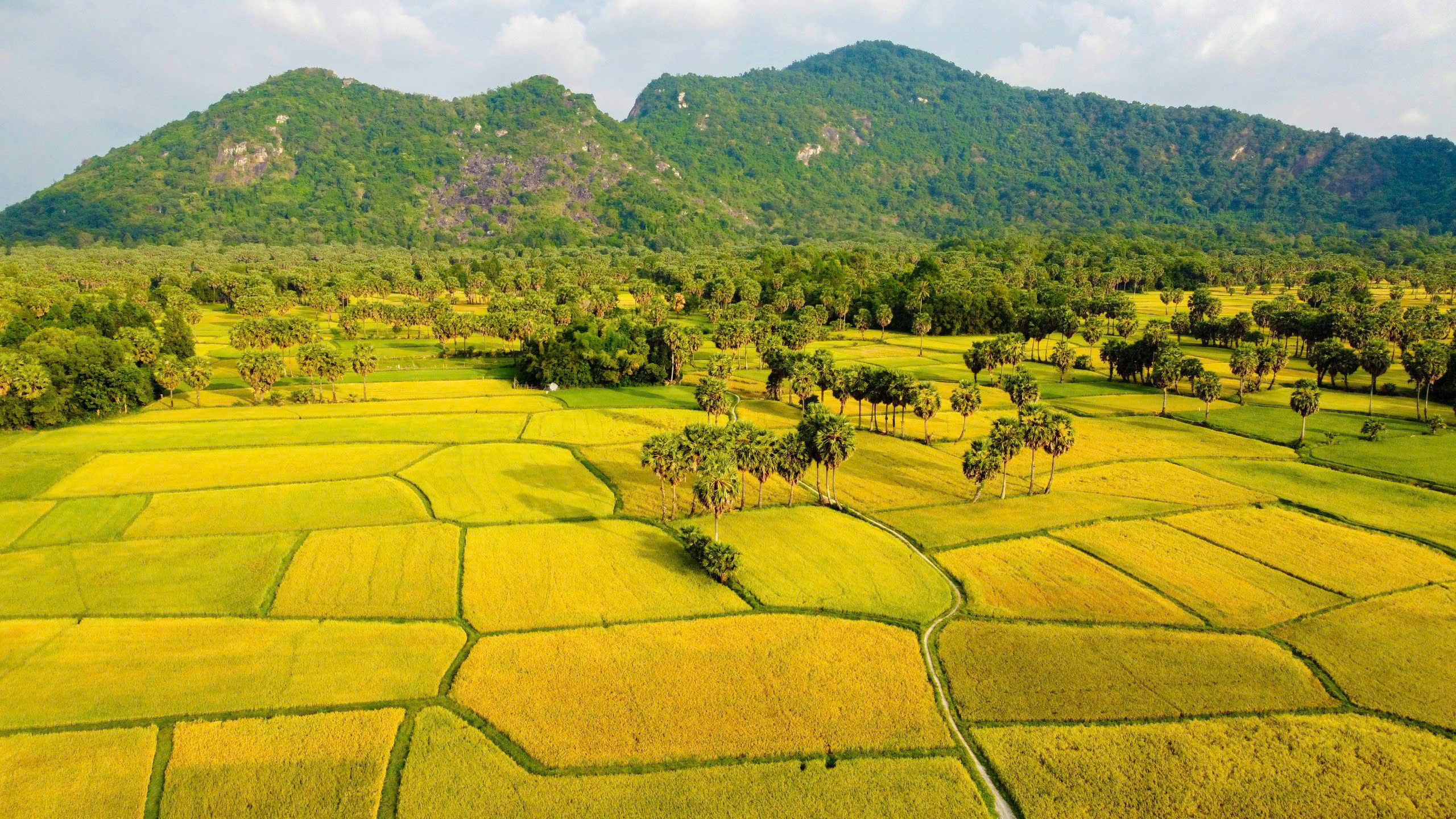 Cánh đồng Tà Pạ