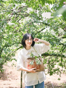 mận Mộc Châu