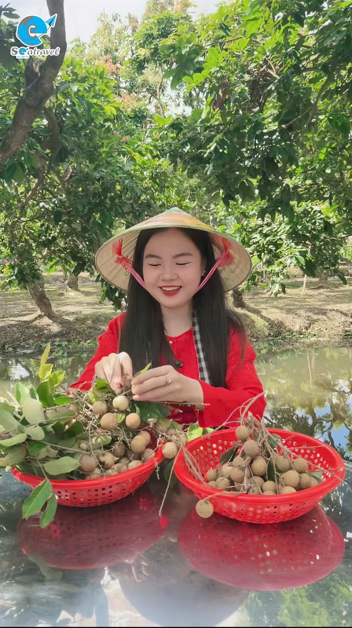 CỒN SƠN