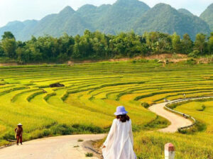 TÂY BẮC