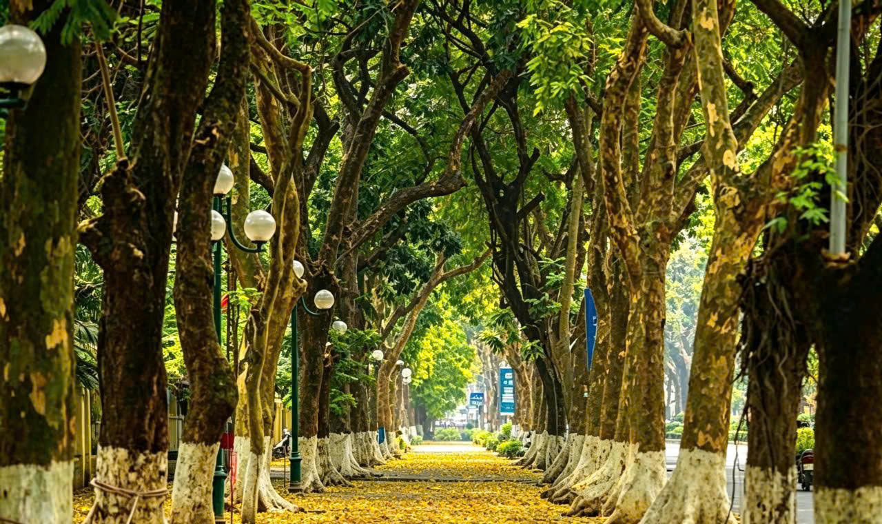 HÀ NỘI MÙA THU
